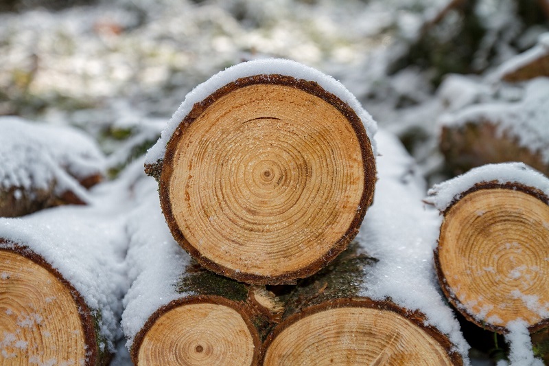 Holzspalter mit Benzinmotor Titanium